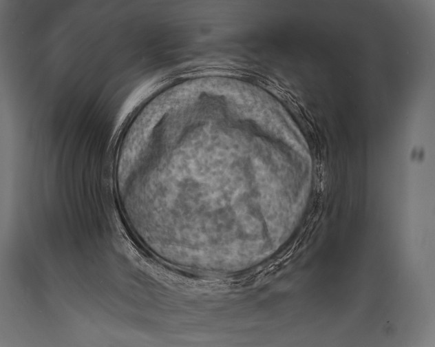 X0000088870004200706291551