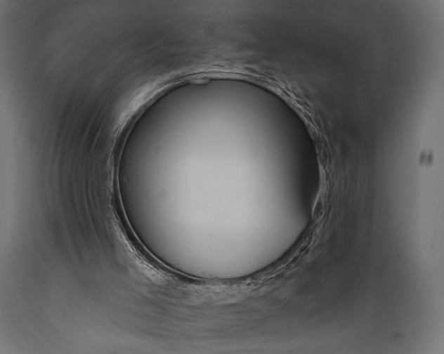 X0000088870005200706291551