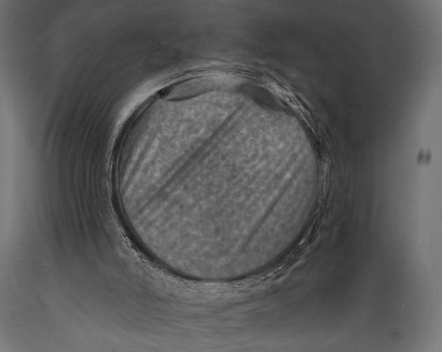 X0000088870006200706291551