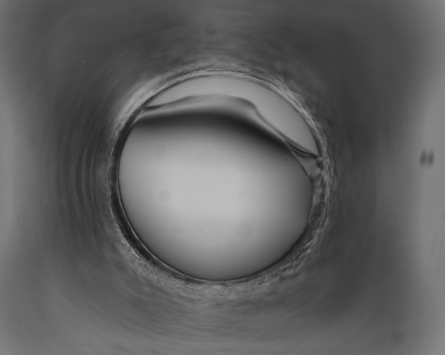 X0000088870007200706291551