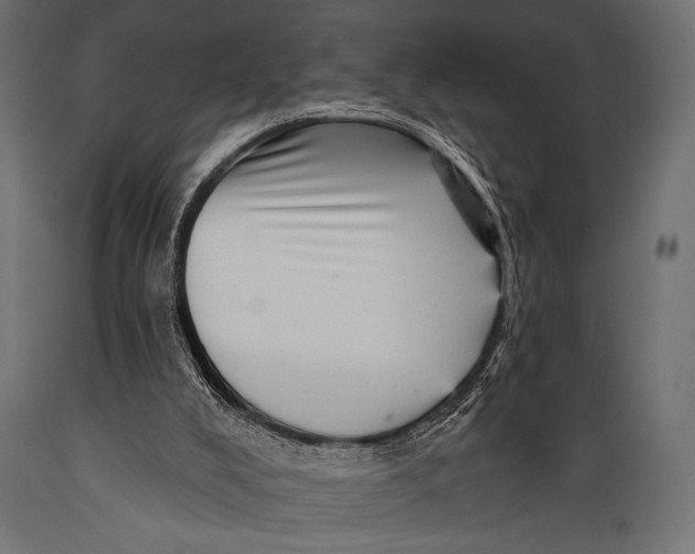 X0000088870008200706291551