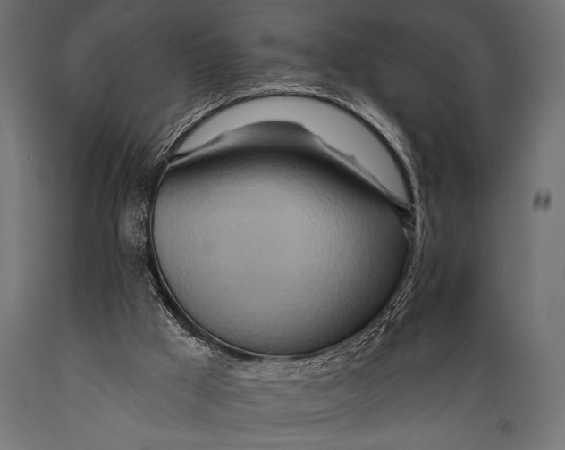 X0000088870009200706291551
