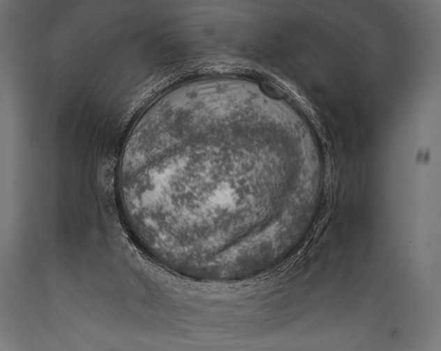 X0000088870010200706291551