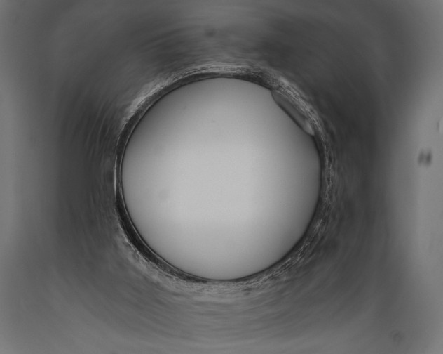 X0000088870011200706291551