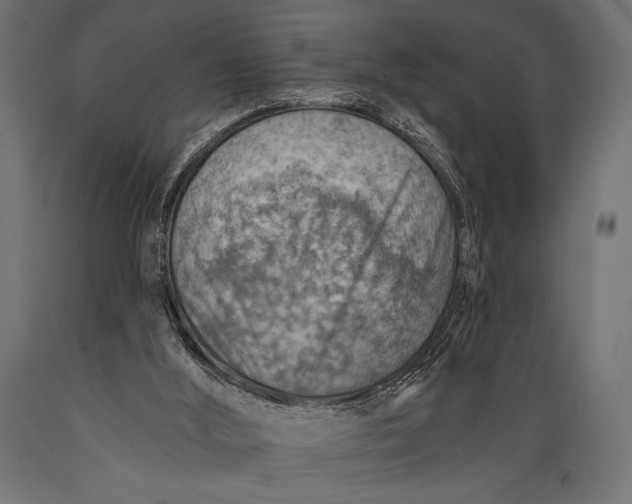 X0000088870012200706291551