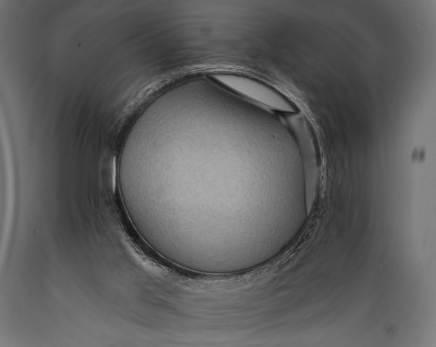 X0000088870013200706291551