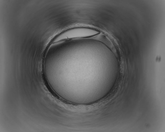 X0000088870015200706291551