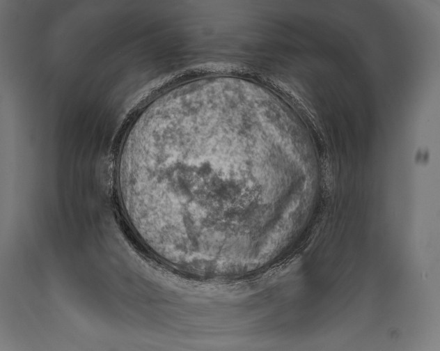 X0000088870016200706291551