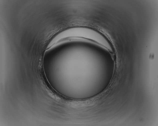 X0000088870017200706291551