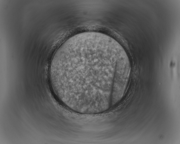 X0000088870018200706291551