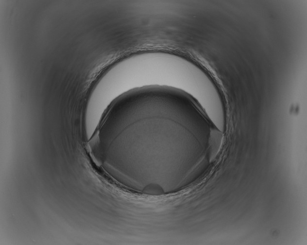 X0000088870019200706291551