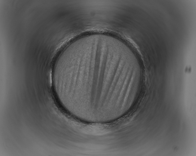 X0000088870020200706291551