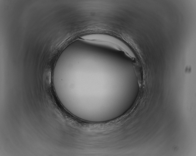 X0000088870021200706291551