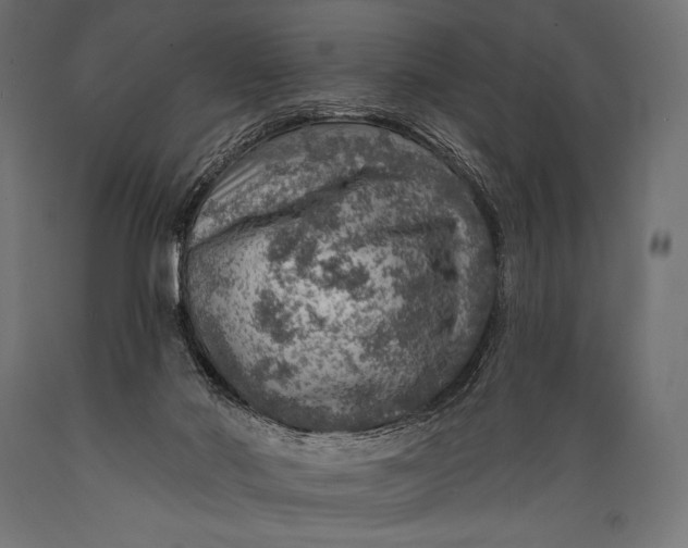 X0000088870022200706291551