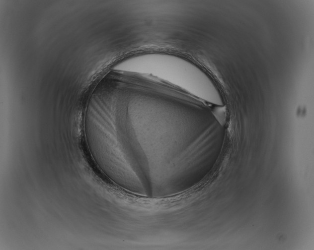 X0000088870023200706291551