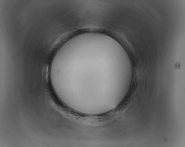 X0000088870024200706291551