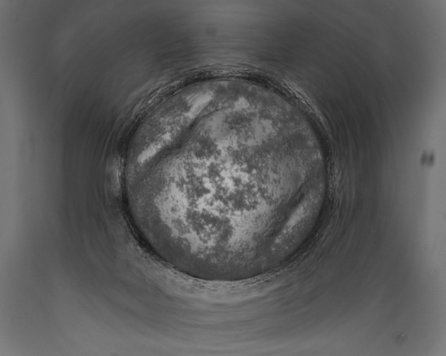 X0000088870026200706291551