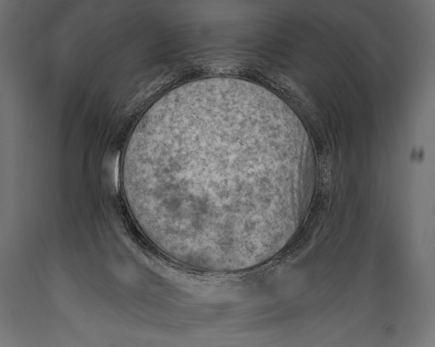 X0000088870028200706291551