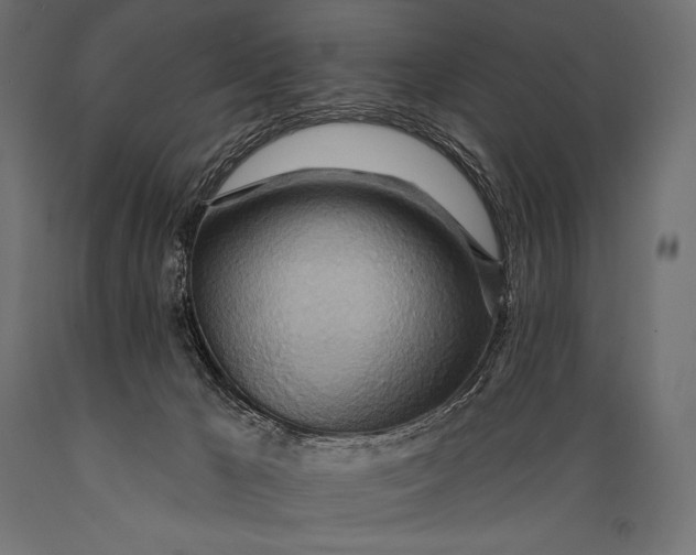 X0000088870029200706291551