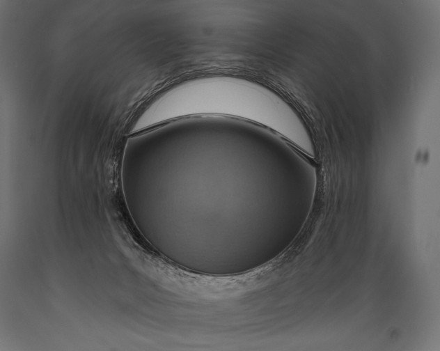 X0000088870031200706291550