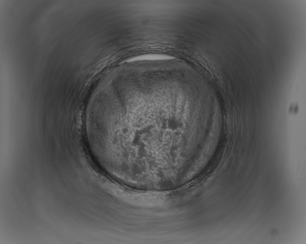 X0000088870032200706291550