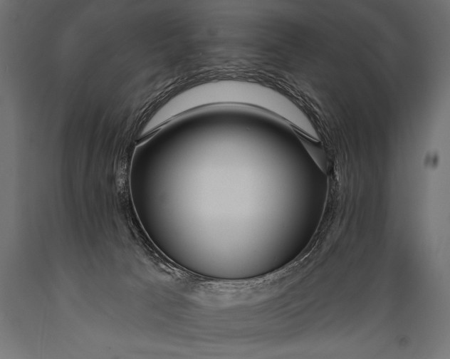X0000088870033200706291550