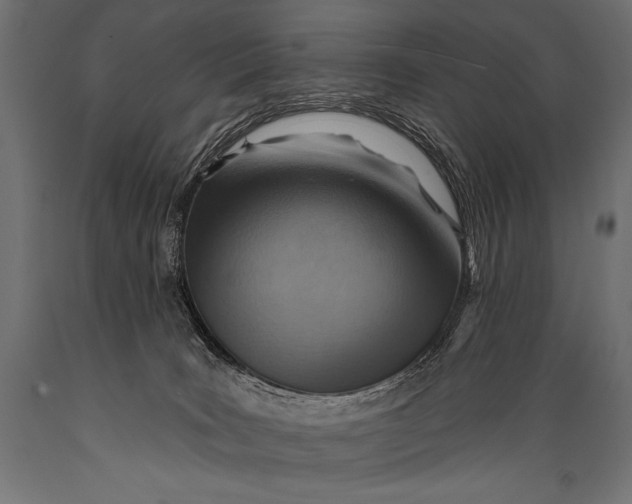 X0000088870035200706291550