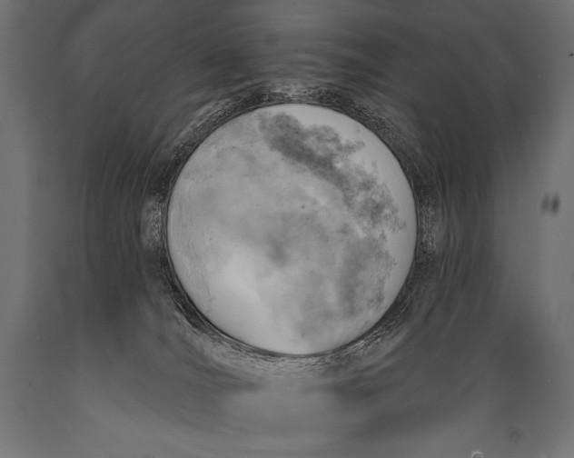X0000088870036200706291550