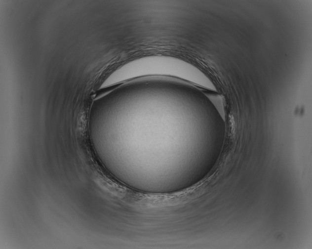 X0000088870037200706291550
