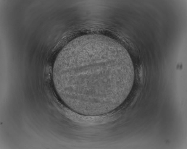 X0000088870038200706291550