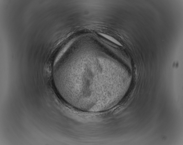 X0000088870040200706291550