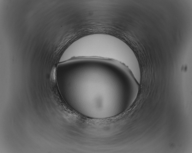 X0000088870041200706291550