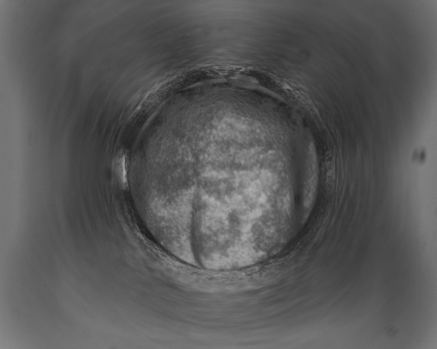 X0000088870042200706291550