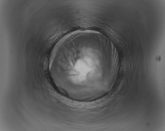 X0000088870043200706291550