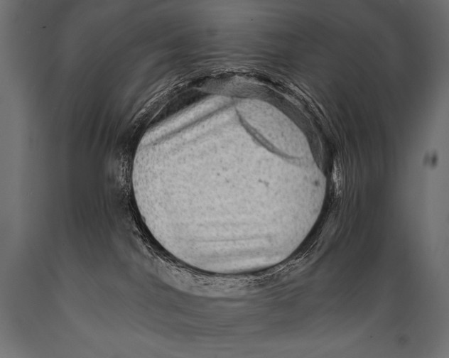 X0000088870044200706291550