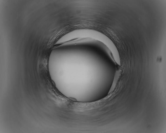 X0000088870045200706291550