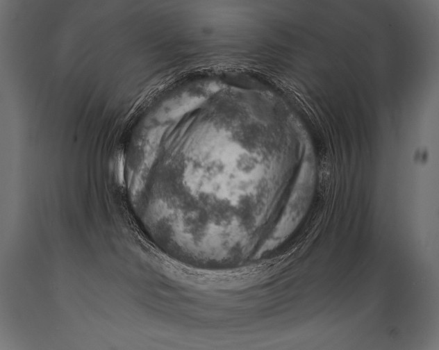 X0000088870046200706291550