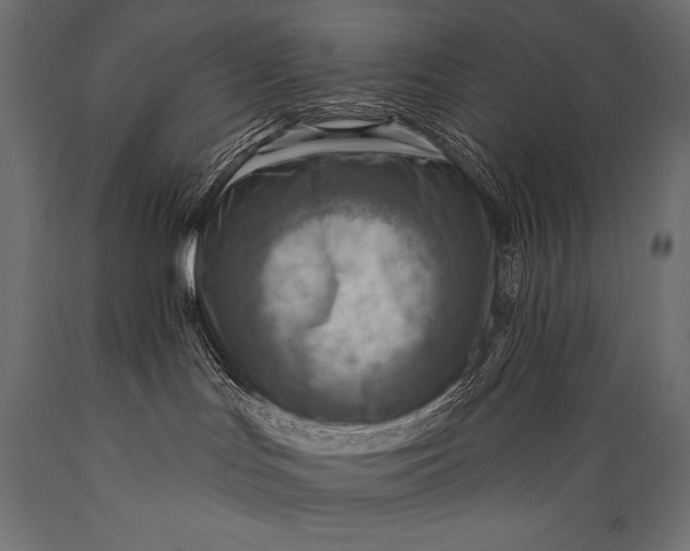 X0000088870047200706291550
