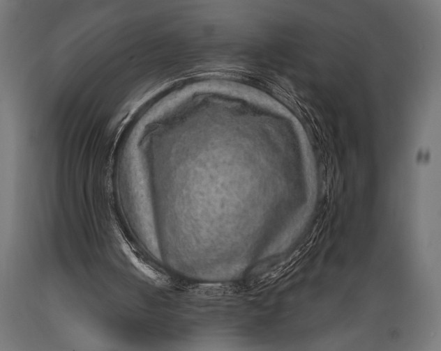 X0000088870050200706291549