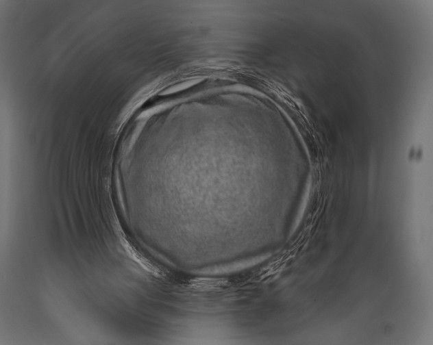 X0000088870051200706291549