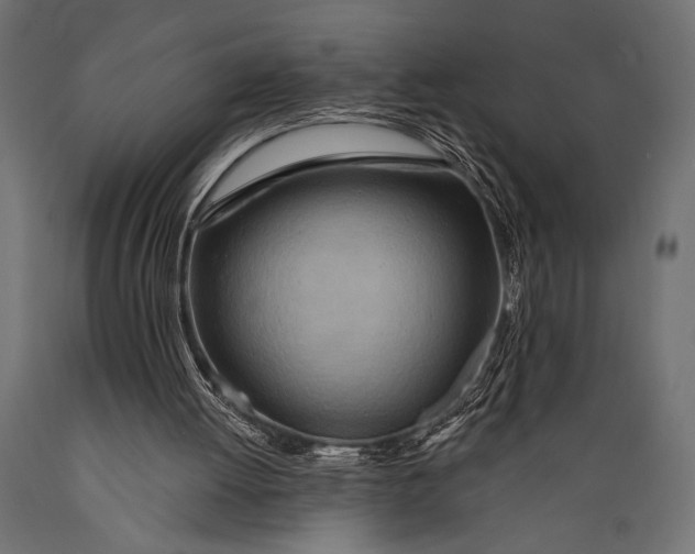 X0000088870052200706291549