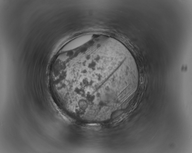 X0000088870053200706291549