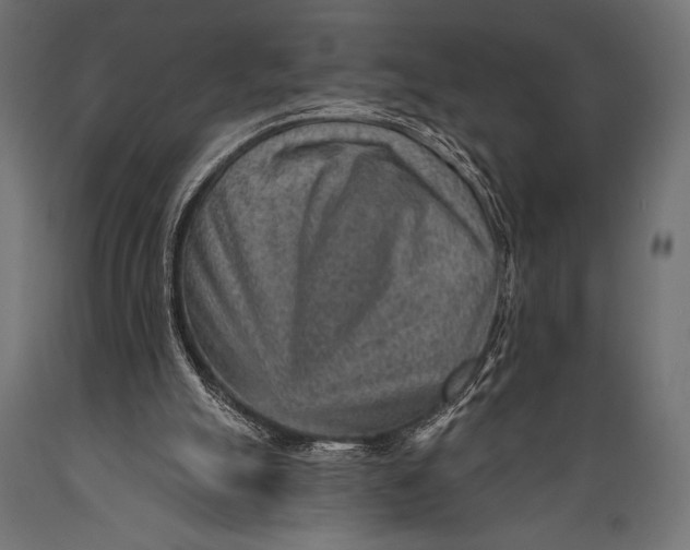 X0000088870055200706291550