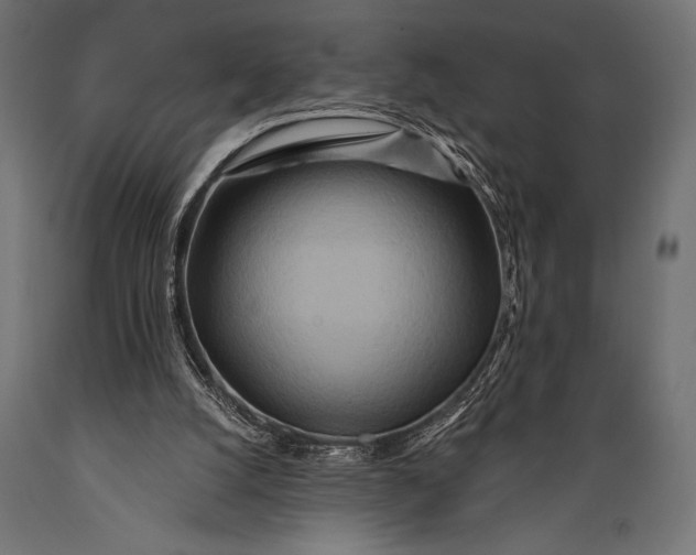 X0000088870056200706291550