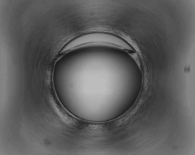 X0000088870057200706291550