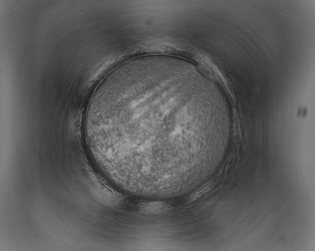 X0000088870058200706291550