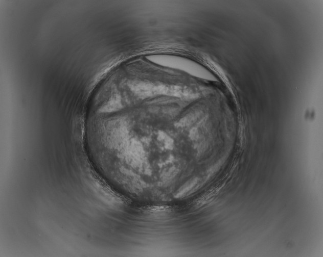 X0000088870059200706291550