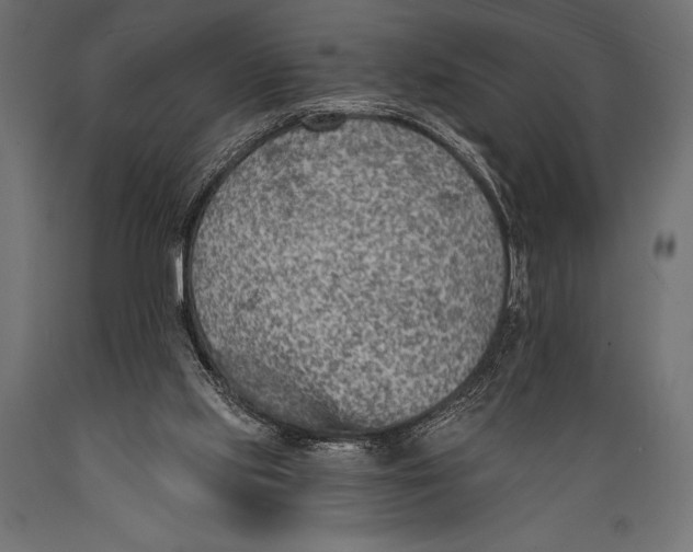X0000088870061200706291550