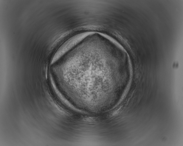 X0000088870062200706291550