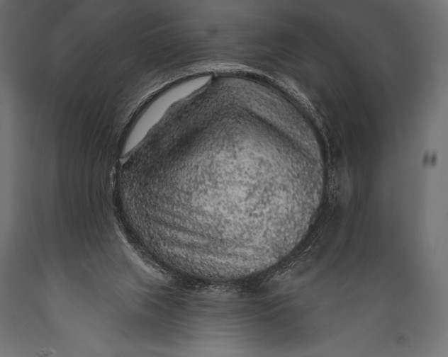 X0000088870063200706291550